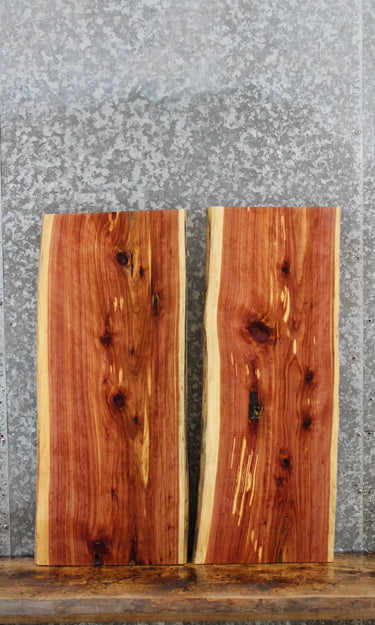2- Natural Edge Red Cedar Taxidermy Boards 5180-5181